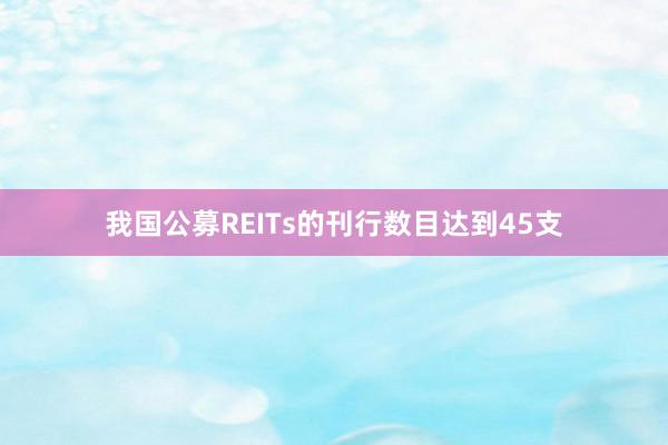 我国公募REITs的刊行数目达到45支