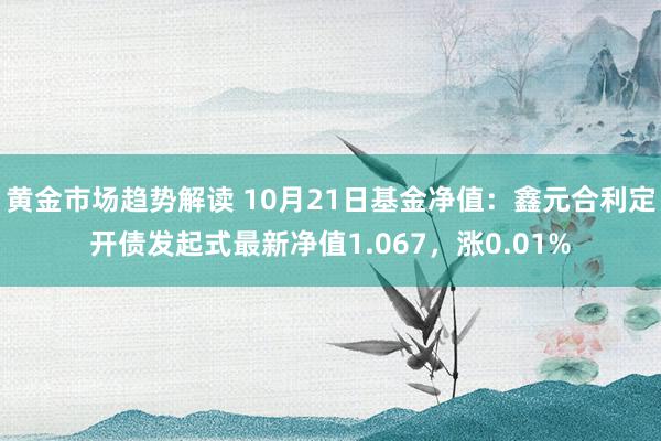   黄金市场趋势解读 10月21日基金净值：鑫元合利定开债发起式最新净值1.067，涨0.01%