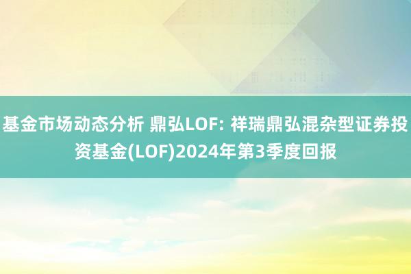   基金市场动态分析 鼎弘LOF: 祥瑞鼎弘混杂型证券投资基金(LOF)2024年第3季度回报