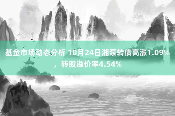   基金市场动态分析 10月24日湘泵转债高涨1.09%，转股溢价率4.54%