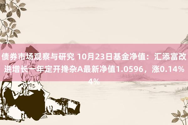 债券市场观察与研究 10月23日基金净值：汇添富改进增长一年定开搀杂A最新净值1.0596，涨0.14%