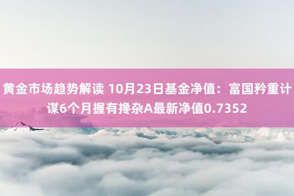   黄金市场趋势解读 10月23日基金净值：富国矜重计谋6个月握有搀杂A最新净值0.7352