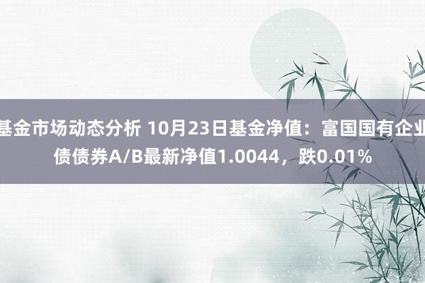   基金市场动态分析 10月23日基金净值：富国国有企业债债券A/B最新净值1.0044，跌0.01%