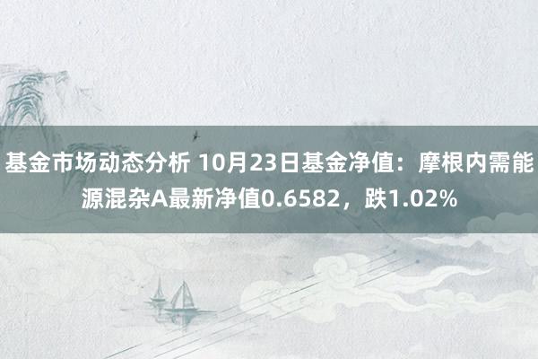   基金市场动态分析 10月23日基金净值：摩根内需能源混杂A最新净值0.6582，跌1.02%