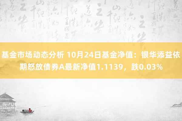   基金市场动态分析 10月24日基金净值：银华添益依期怒放债券A最新净值1.1139，跌0.03%