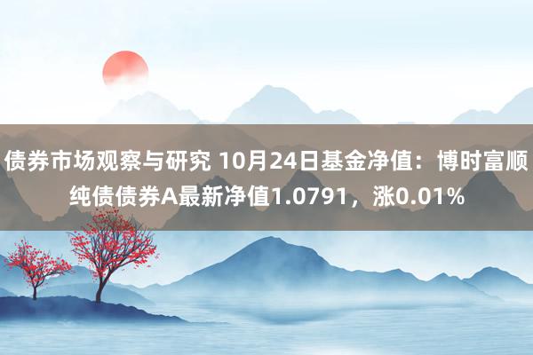   债券市场观察与研究 10月24日基金净值：博时富顺纯债债券A最新净值1.0791，涨0.01%