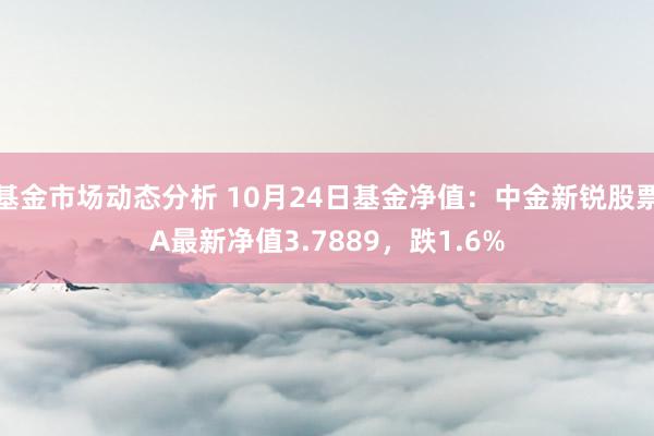   基金市场动态分析 10月24日基金净值：中金新锐股票A最新净值3.7889，跌1.6%