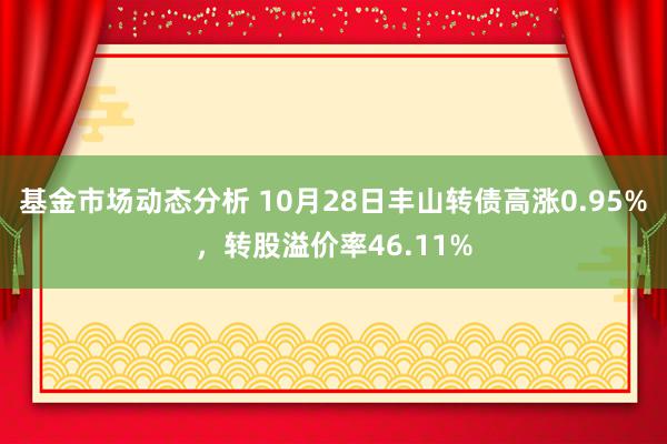 基金市场动态分析 10月28日丰山转债高涨0.95%，转股溢价率46.11%