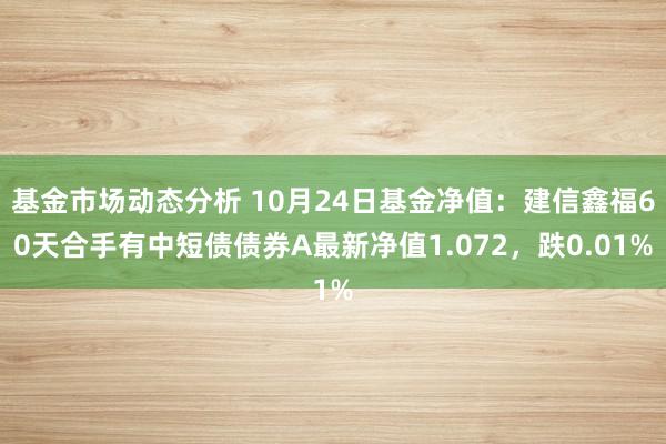 基金市场动态分析 10月24日基金净值：建信鑫福60天合手有中短债债券A最新净值1.072，跌0.01%