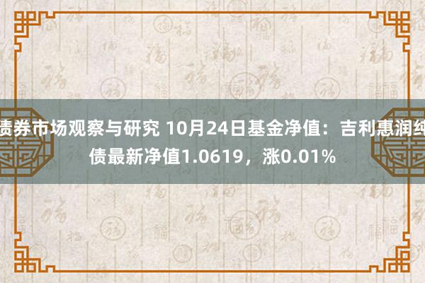 债券市场观察与研究 10月24日基金净值：吉利惠润纯债最新净