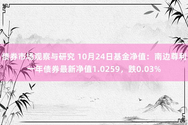 债券市场观察与研究 10月24日基金净值：南边尊利一年债券最新净值1.0259，跌0.03%