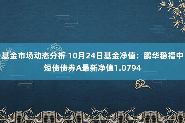   基金市场动态分析 10月24日基金净值：鹏华稳福中短债债券A最新净值1.0794