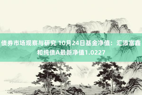   债券市场观察与研究 10月24日基金净值：汇添富鑫和纯债A最新净值1.0227