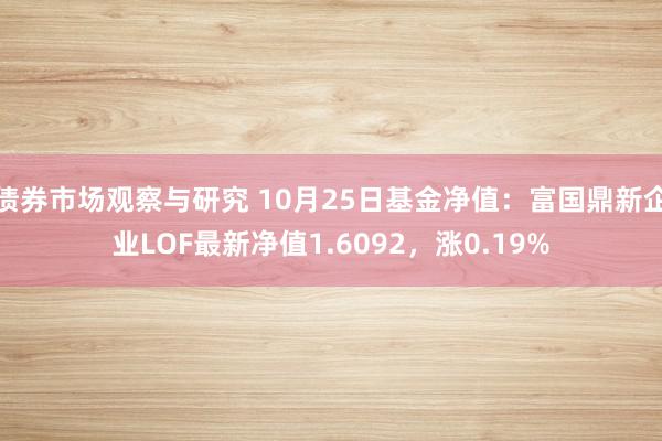   债券市场观察与研究 10月25日基金净值：富国鼎新企业LOF最新净值1.6092，涨0.19%