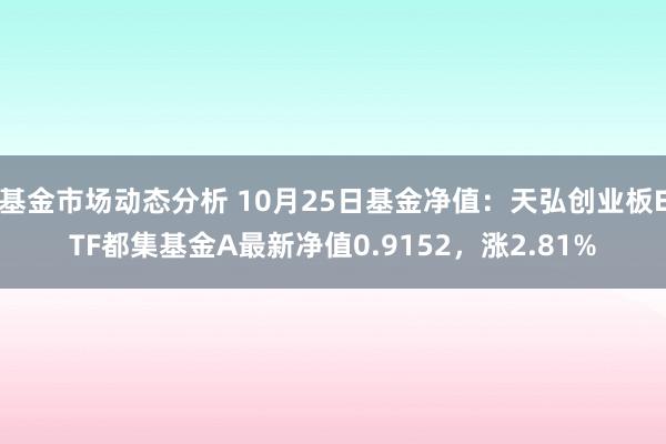   基金市场动态分析 10月25日基金净值：天弘创业板ETF都集基金A最新净值0.9152，涨2.81%