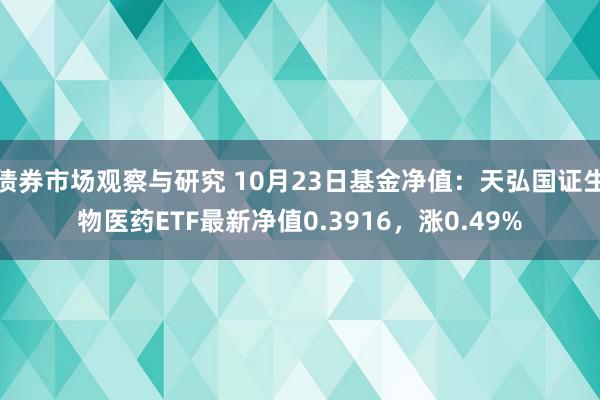   债券市场观察与研究 10月23日基金净值：天弘国证生物医药ETF最新净值0.3916，涨0.49%