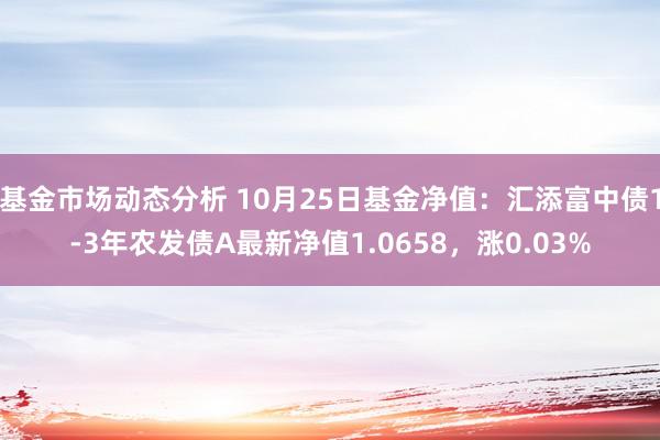   基金市场动态分析 10月25日基金净值：汇添富中债1-3年农发债A最新净值1.0658，涨0.03%