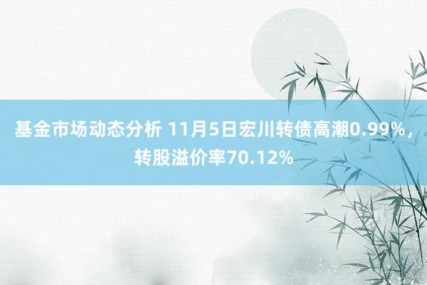   基金市场动态分析 11月5日宏川转债高潮0.99%，转股溢价率70.12%