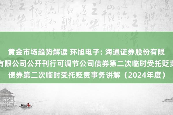   黄金市场趋势解读 环旭电子: 海通证券股份有限公司对于环旭电子股份有限公司公开刊行可调节公司债券第二次临时受托贬责事务讲解（2024年度）