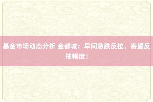   基金市场动态分析 金都城：早间急跌反拉，寄望反抽幅度！