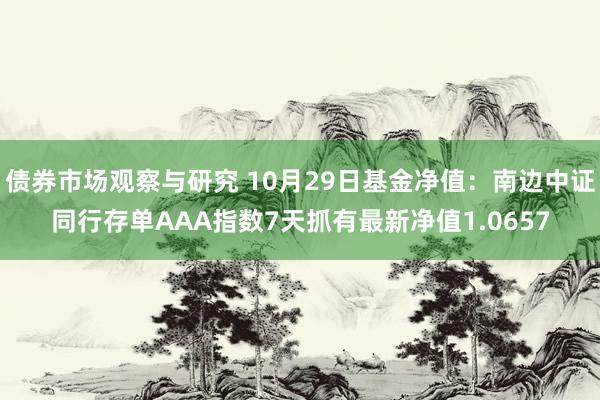 债券市场观察与研究 10月29日基金净值：南边中证同行存单AAA指数7天抓有最新净值1.0657