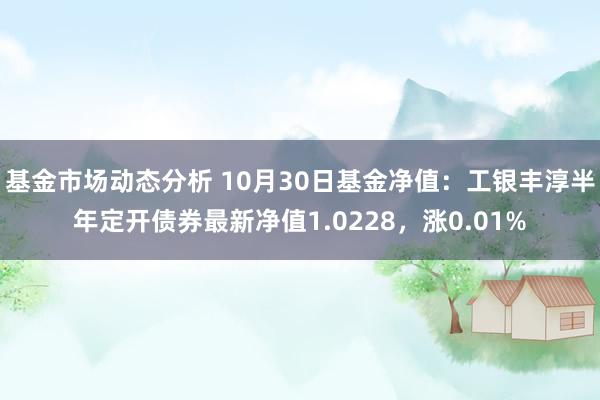 基金市场动态分析 10月30日基金净值：工银丰淳半年定开债券最新净值1.0228，涨0.01%