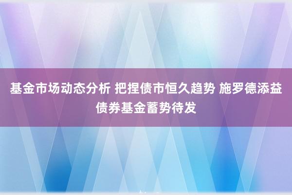 基金市场动态分析 把捏债市恒久趋势 施罗德添益债券基金蓄势待