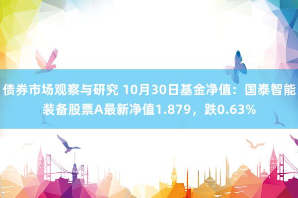 债券市场观察与研究 10月30日基金净值：国泰智能装备股票A