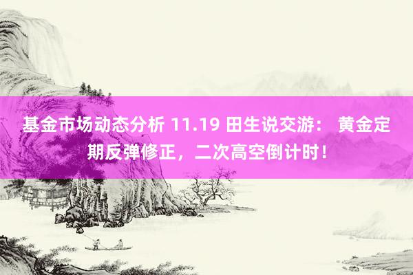 基金市场动态分析 11.19 田生说交游： 黄金定期反弹修正