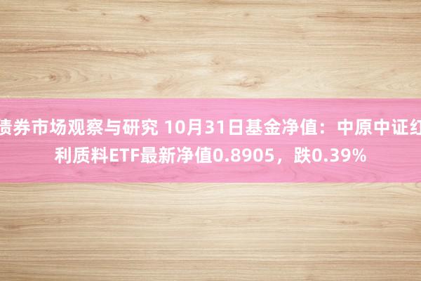 债券市场观察与研究 10月31日基金净值：中原中证红利质料E