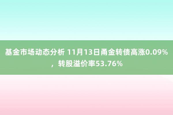 基金市场动态分析 11月13日甬金转债高涨0.09%，转股溢