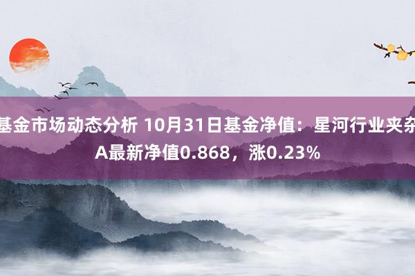 基金市场动态分析 10月31日基金净值：星河行业夹杂A最新净