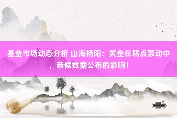   基金市场动态分析 山海杨阳：黄金在弱点颤动中，恭候数据公布的影响！