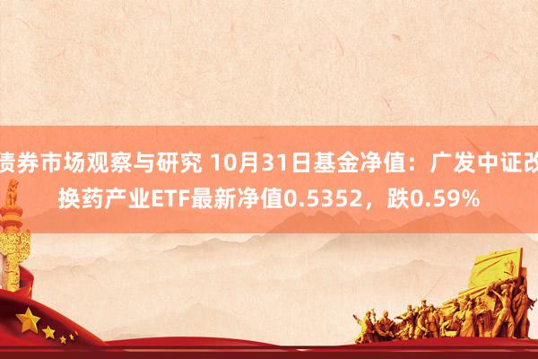 债券市场观察与研究 10月31日基金净值：广发中证改换药产业ETF最新净值0.5352，跌0.59%