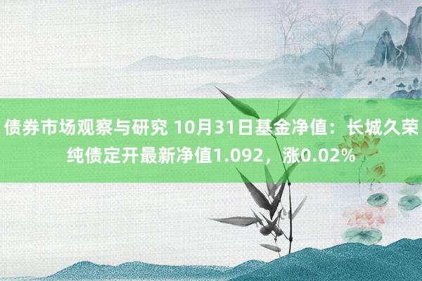 债券市场观察与研究 10月31日基金净值：长城久荣纯债定开最新净值1.092，涨0.02%