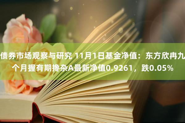 债券市场观察与研究 11月1日基金净值：东方欣冉九个月握有期搀杂A最新净值0.9261，跌0.05%