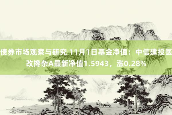 债券市场观察与研究 11月1日基金净值：中信建投医改搀杂A最新净值1.5943，涨0.28%