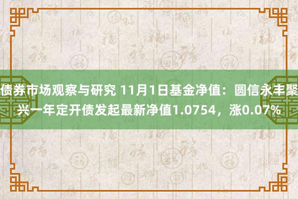 债券市场观察与研究 11月1日基金净值：圆信永丰聚兴一年定开