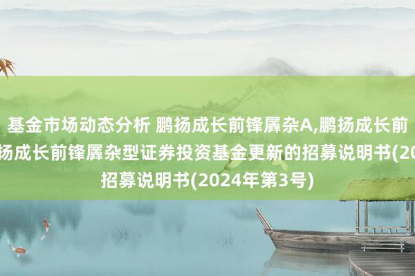 基金市场动态分析 鹏扬成长前锋羼杂A,鹏扬成长前锋羼杂C: 鹏扬成长前锋羼杂型证券投资基金更新的招募说明书(2024年第3号)