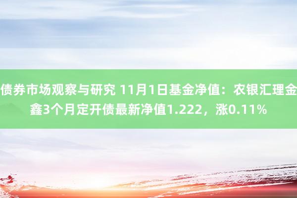 债券市场观察与研究 11月1日基金净值：农银汇理金鑫3个月定