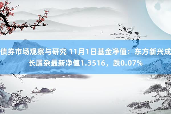 债券市场观察与研究 11月1日基金净值：东方新兴成长羼杂最新