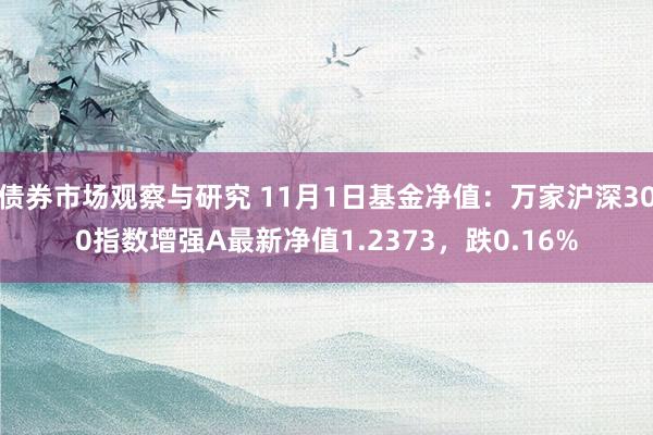 债券市场观察与研究 11月1日基金净值：万家沪深300指数增