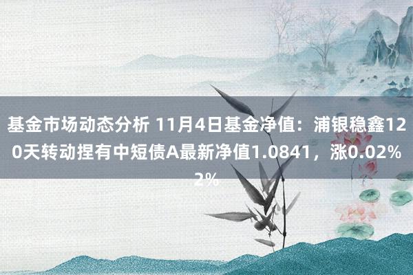 基金市场动态分析 11月4日基金净值：浦银稳鑫120天转动捏有中短债A最新净值1.0841，涨0.02%