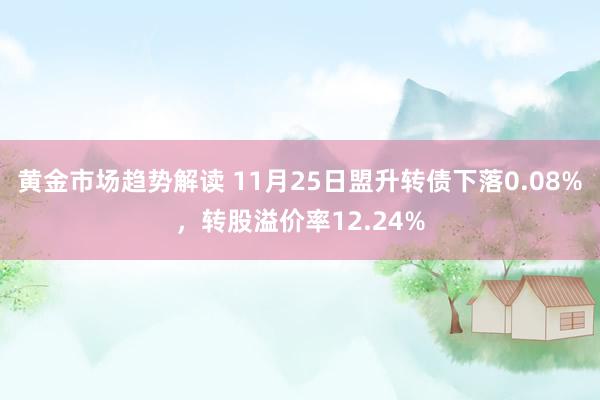 黄金市场趋势解读 11月25日盟升转债下落0.08%，转股溢价率12.24%