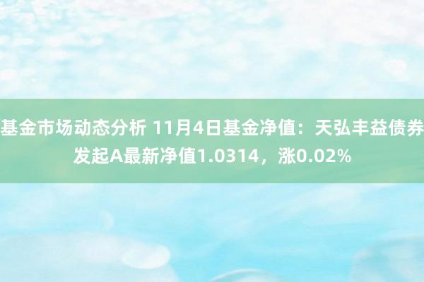 基金市场动态分析 11月4日基金净值：天弘丰益债券发起A最新净值1.0314，涨0.02%