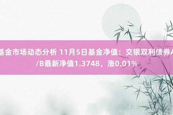 基金市场动态分析 11月5日基金净值：交银双利债券A/B最新净值1.3748，涨0.01%