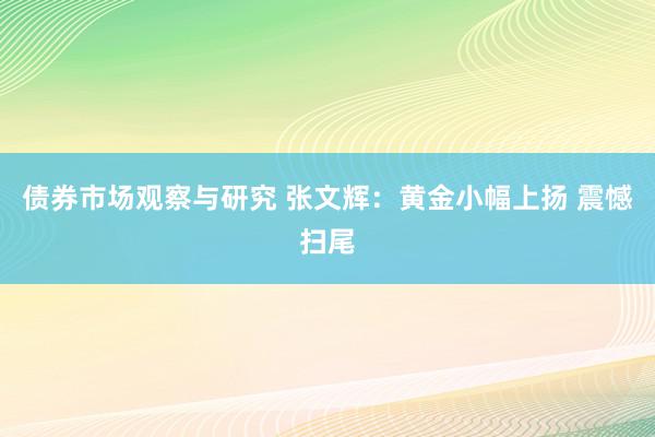 债券市场观察与研究 张文辉：黄金小幅上扬 震憾扫尾