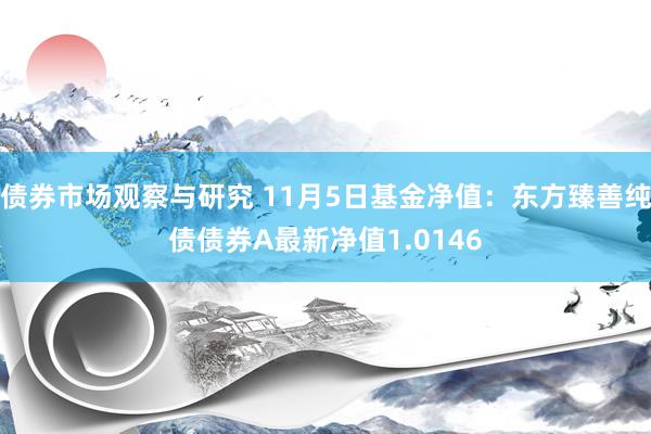 债券市场观察与研究 11月5日基金净值：东方臻善纯债债券A最新净值1.0146