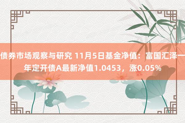 债券市场观察与研究 11月5日基金净值：富国汇泽一年定开债A