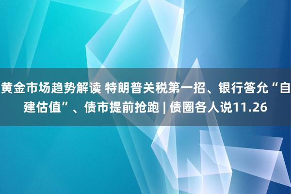 黄金市场趋势解读 特朗普关税第一招、银行答允“自建估值”、债市提前抢跑 | 债圈各人说11.26